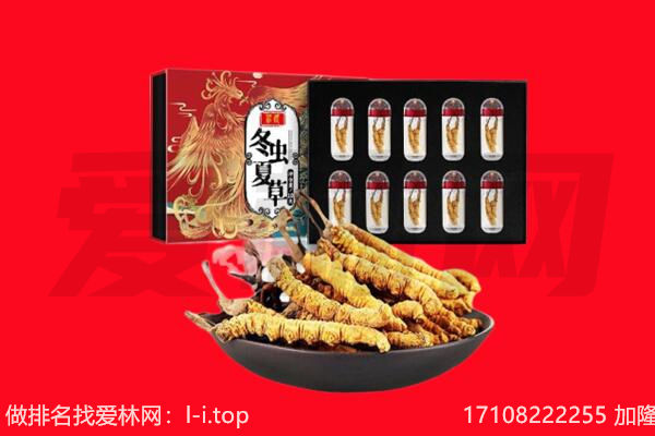 文山回收虫草.jpg